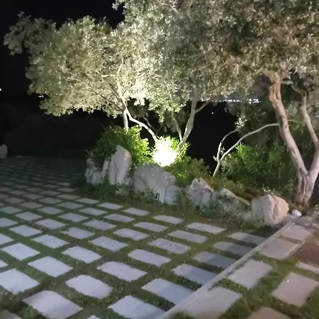 奧爾比亞Li Petri Manni住宿加早餐旅馆 外观 照片
