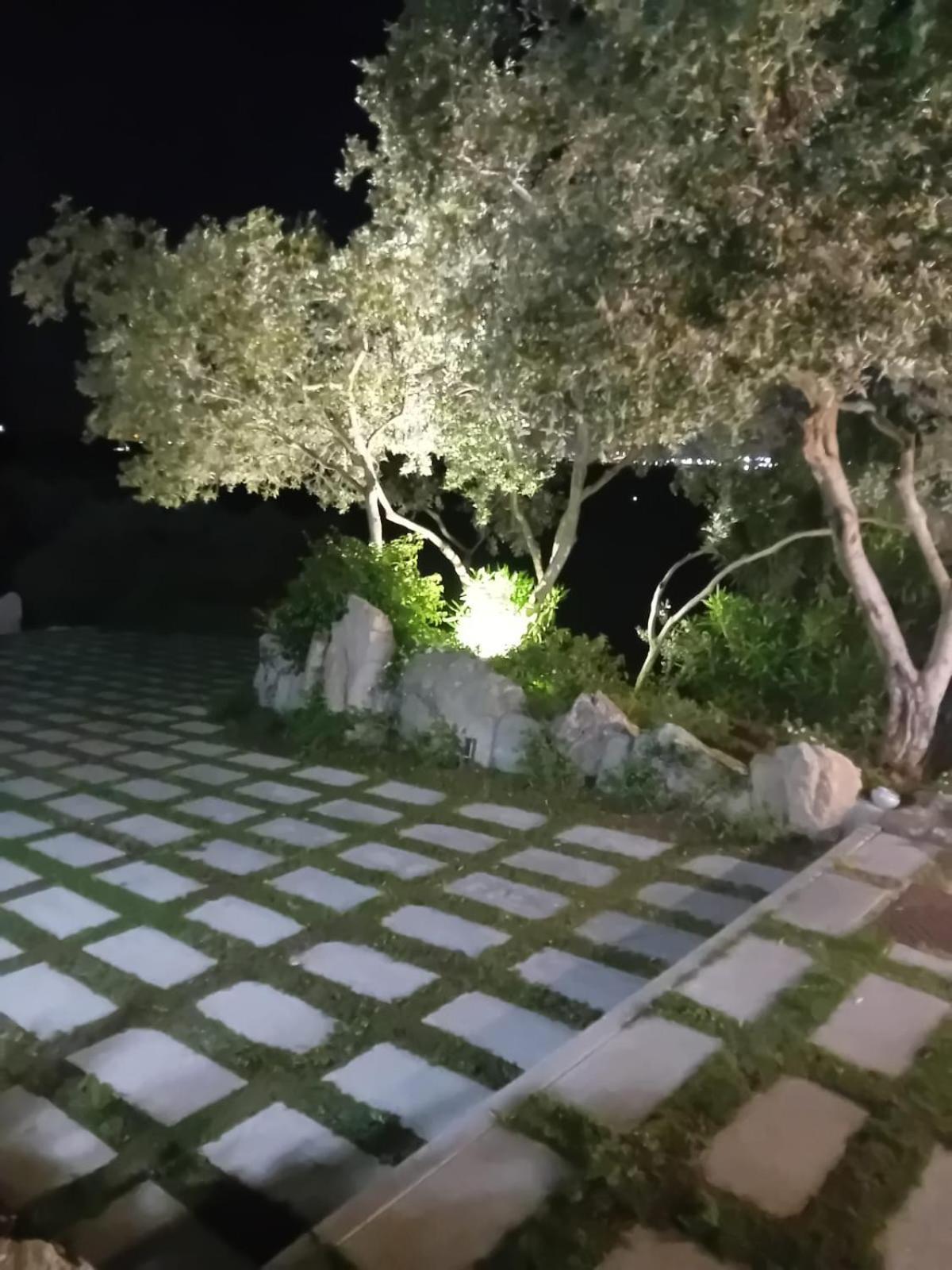 奧爾比亞Li Petri Manni住宿加早餐旅馆 外观 照片